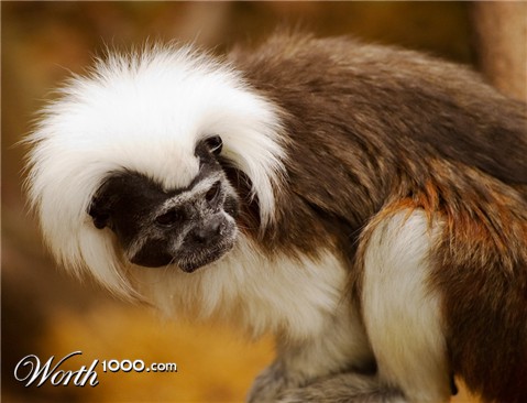 Photography by Alex999