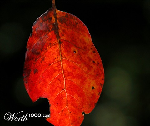 Photography by lilmart