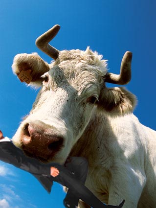 Photoshop Design by GreatOne for DesignCrowd (Community Contests) | Design #9068854