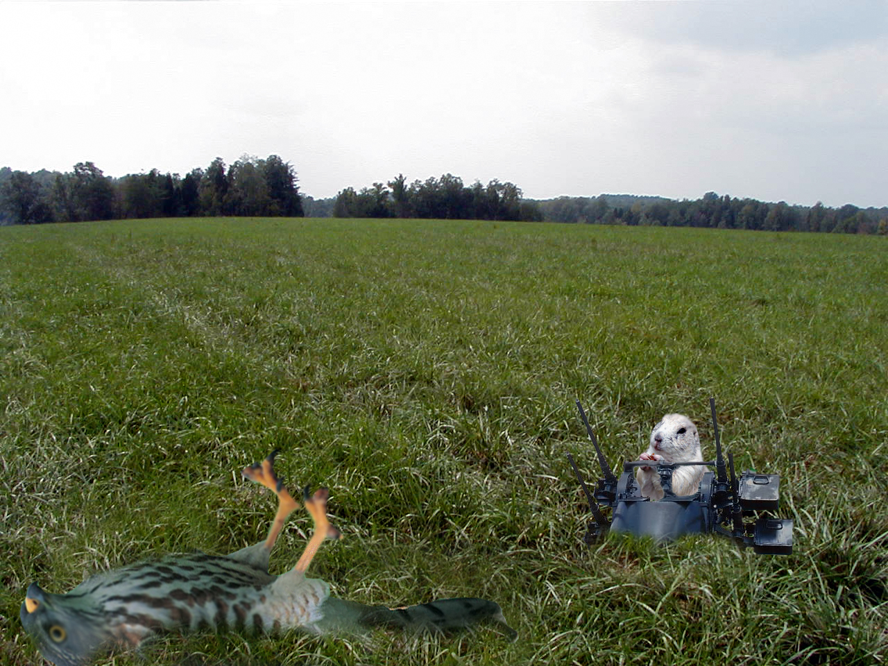 Photoshop Design by Adrune for DesignCrowd (Community Contests) | Design #9068853