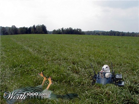 Photoshop Design by Adrune