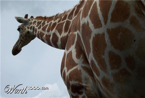 Photography by patdau