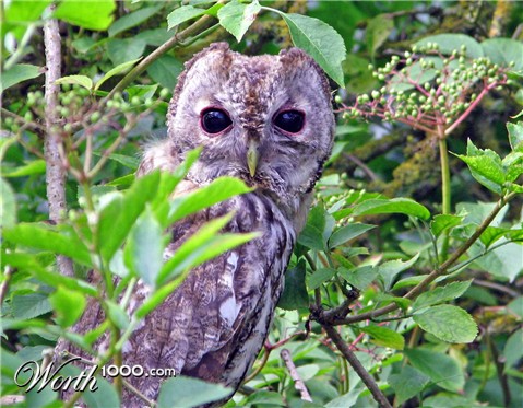 Photography by bertel