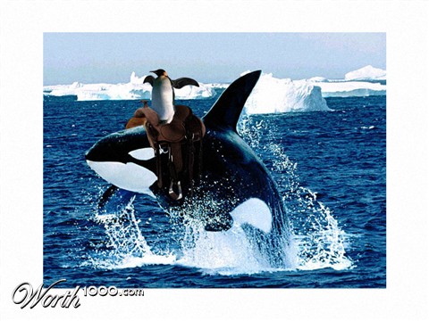 Photoshop Design by McGuffy