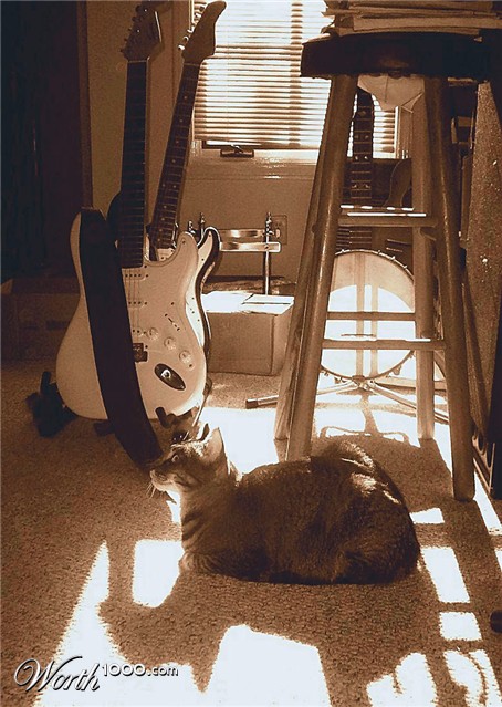 Photography by tlovesd