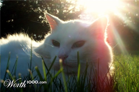 Photography by fryzee