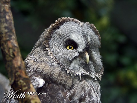 Photography by rhipster