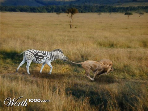 Photoshop Design by loh666