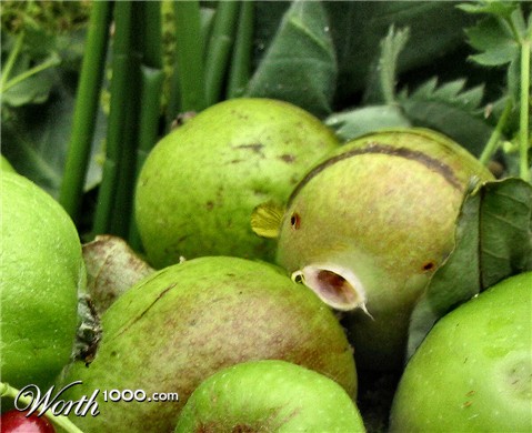 Photoshop Design by bif248