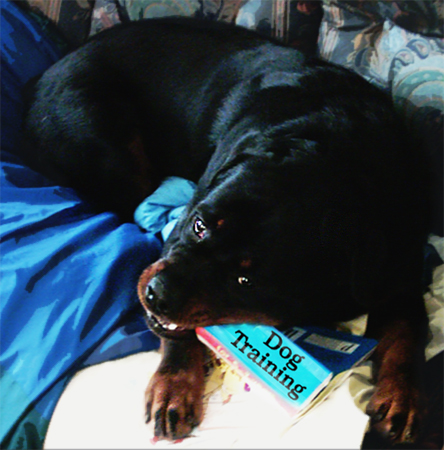 Diseño de Photoshop por fabfella10 para DesignCrowd (Community Contests) | Diseño #9068889