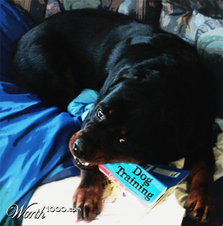 Photoshop Design by fabfella10