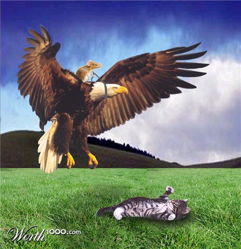 Photoshop Design by ggssmygod