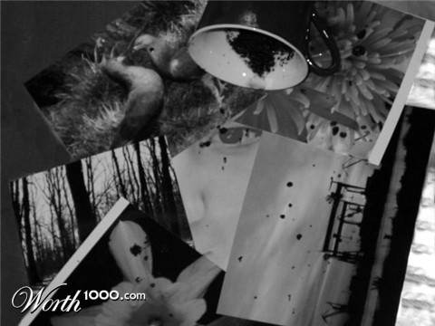 Photography by AmaElia