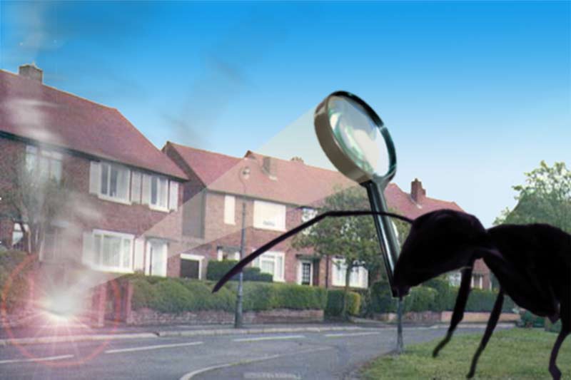 Photoshop Design by mungfu for DesignCrowd (Community Contests) | Design #9068941