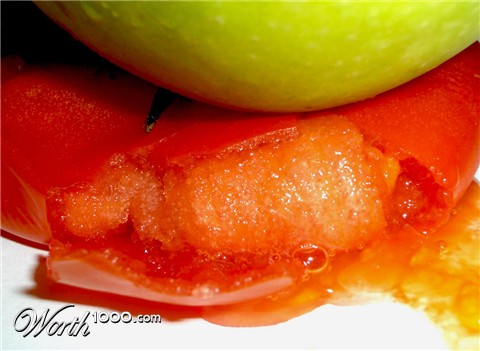 Photography by zymark