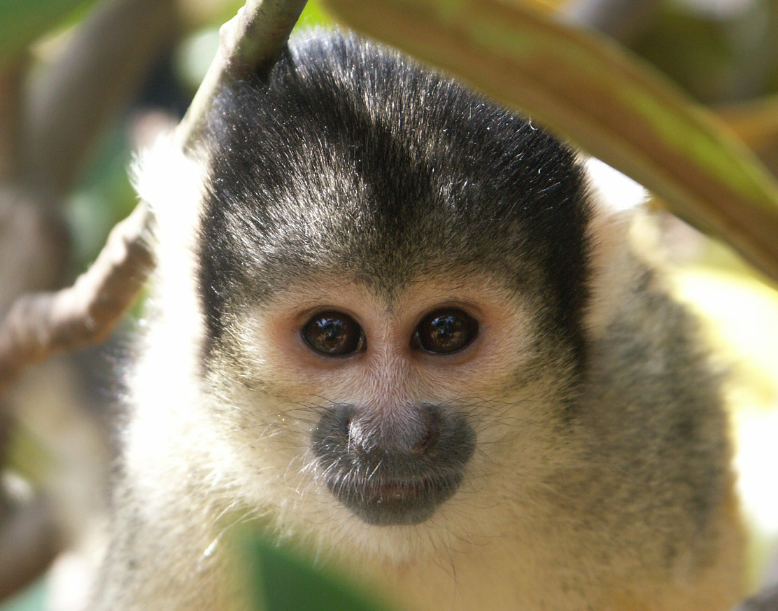 Photography by mwittstrom for DesignCrowd (Community Contests) | Design #9076503