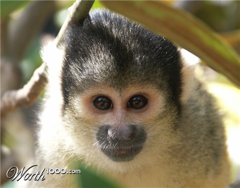 Photography by mwittstrom