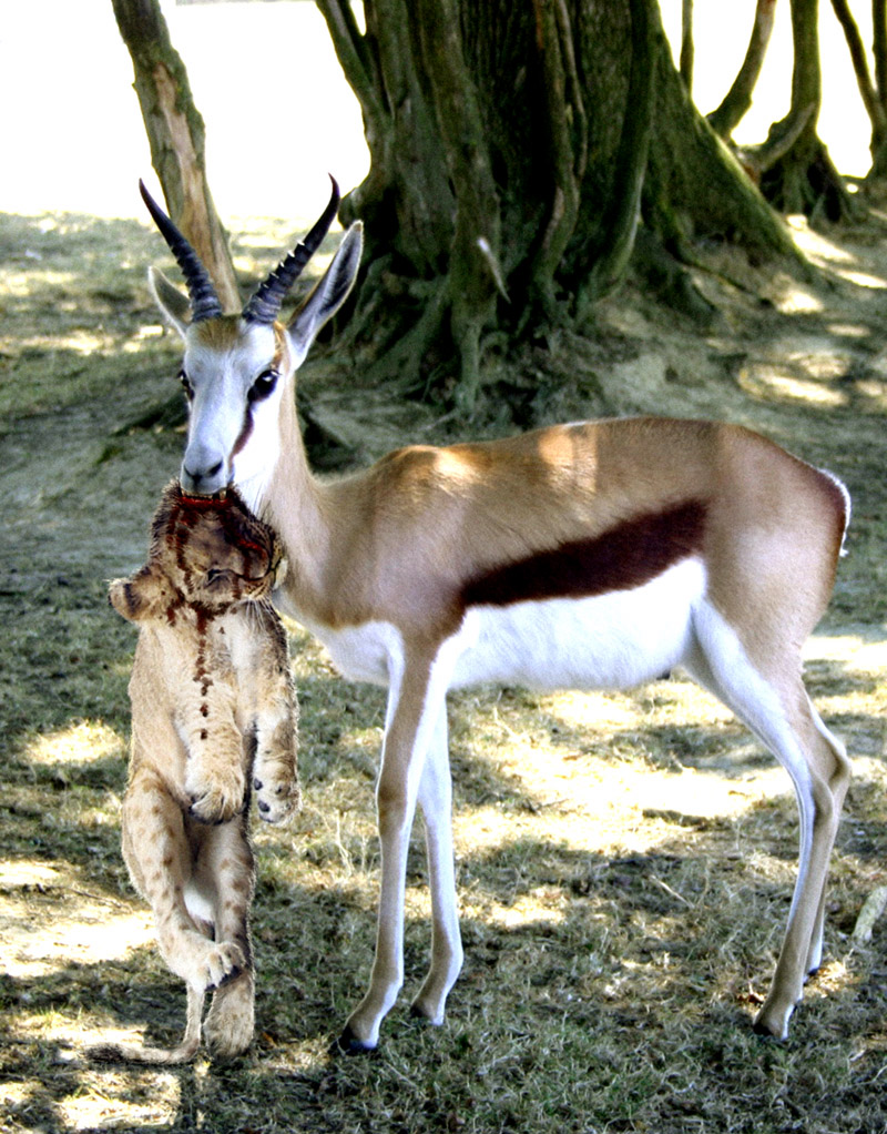 Photoshop-Design von Carniphage für DesignCrowd (Community Contests) | Design #9068947