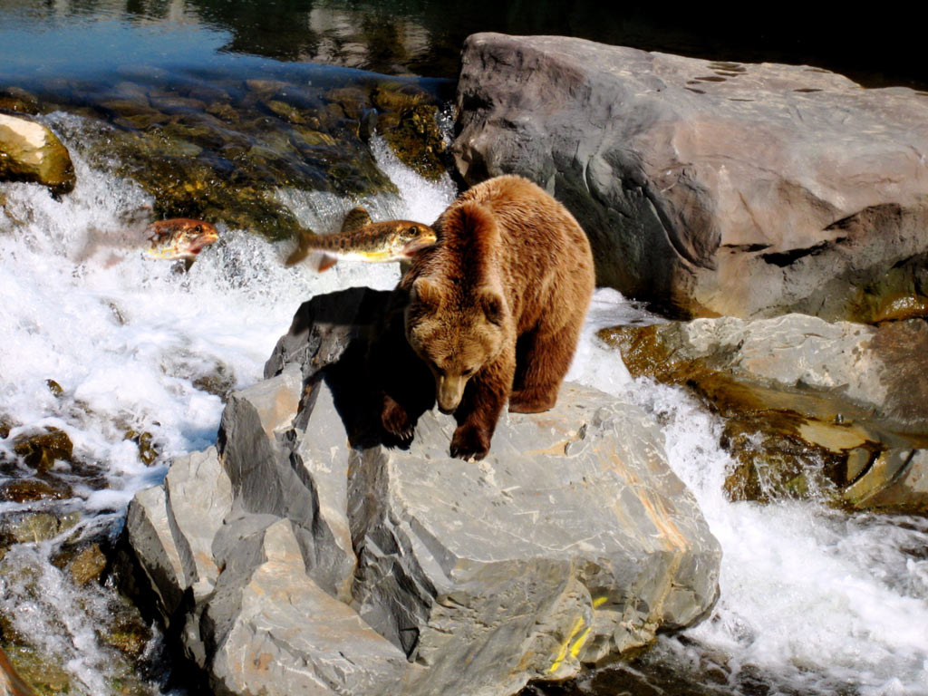 Photoshop Design by rothamdg for DesignCrowd (Community Contests) | Design #9068907