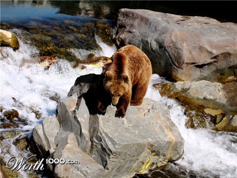 Photoshop Design by rothamdg