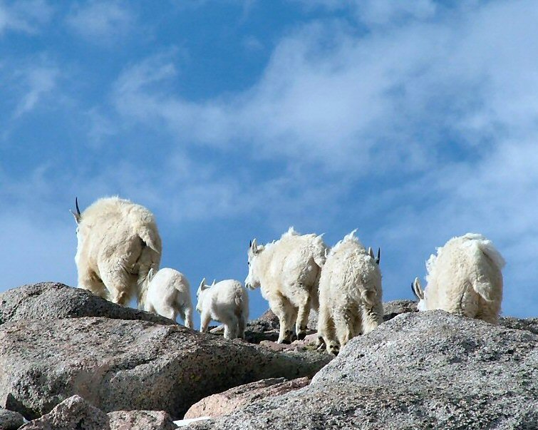 Photography by mmc9496 for DesignCrowd (Community Contests) | Design #9076569