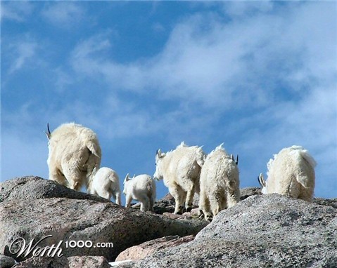 Photography by mmc9496