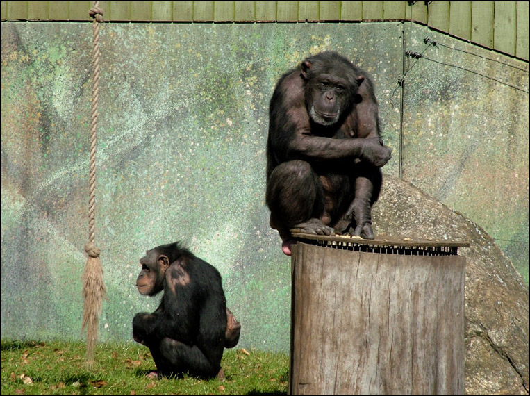 Photography by zensoul for DesignCrowd (Community Contests) | Design #9076583