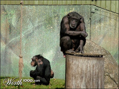 Photography by zensoul