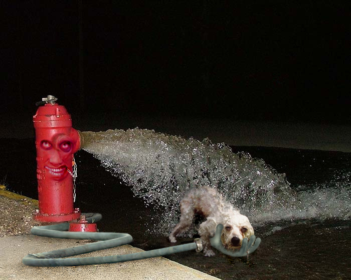 Design Photoshop par beeshamommy pour DesignCrowd (Community Contests) | Design #9068967