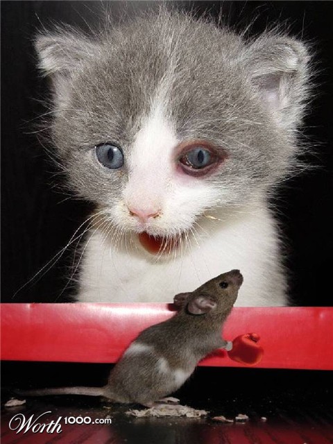 Photoshop Design by sloanyo