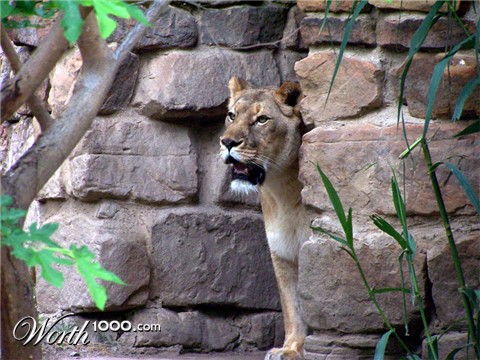 Photography by Julz1996