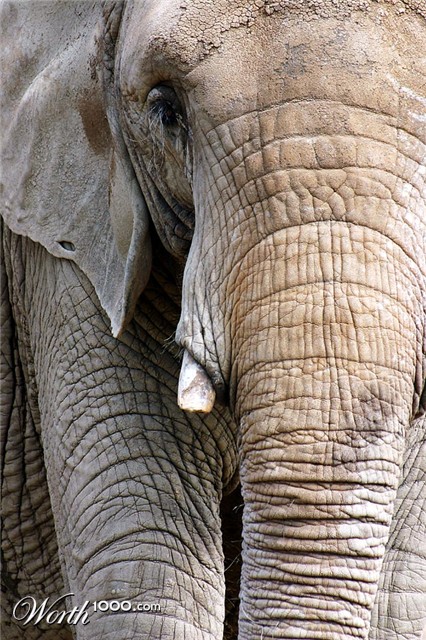 Photography by SigloV