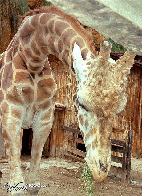 Photography by jandreu