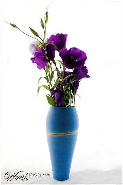 Photography by AceClown