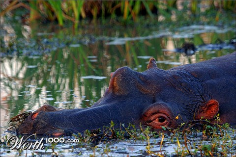 Photography by chris_