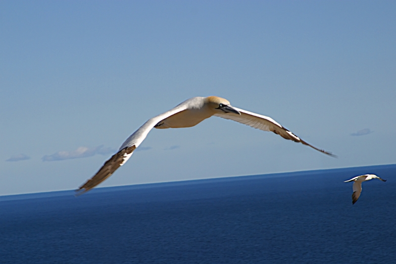 Photography by glaurent for DesignCrowd (Community Contests) | Design #9076586