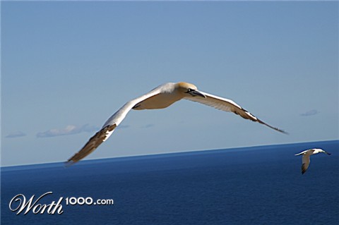 Photography by glaurent
