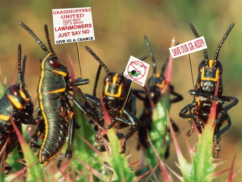 Photoshop Design by jdbeckers for DesignCrowd (Community Contests) | Design #9078999