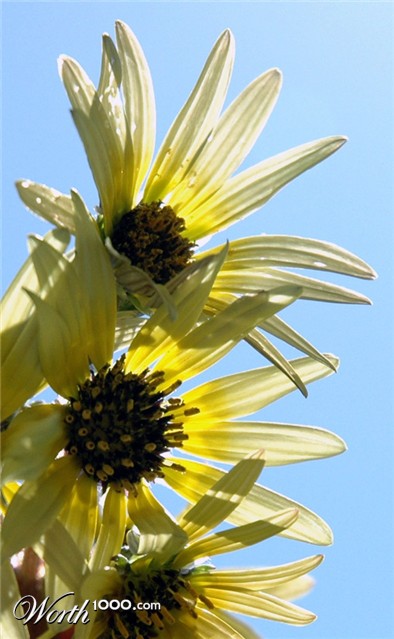 Photography by kimbomac