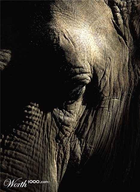 Photography by Ronbrandt