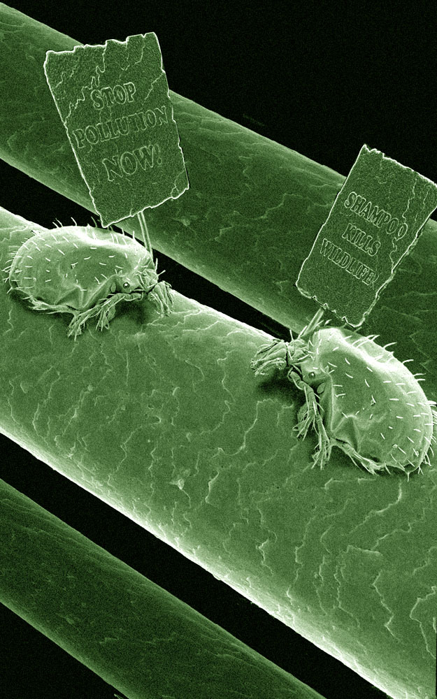 Photoshop-Design von Carniphage für DesignCrowd (Community Contests) | Design #9079106