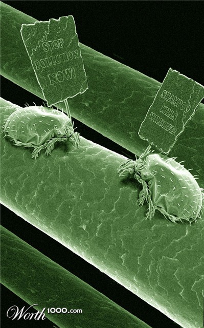 Photoshop Design by Carniphage