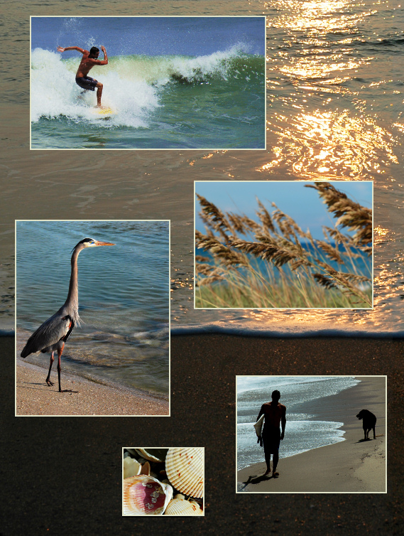 Fotografía por koalachimbo para DesignCrowd (Community Contests) | Diseño #9072598