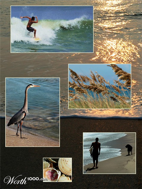 Photography by koalachimbo