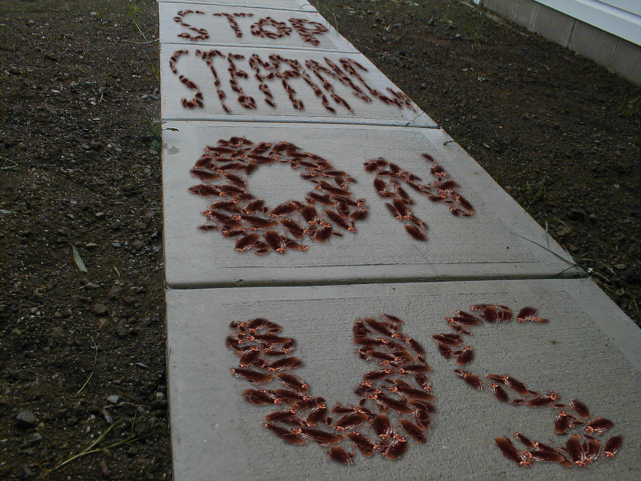 Diseño de Photoshop por zitrodivad para DesignCrowd (Community Contests) | Diseño #9079203