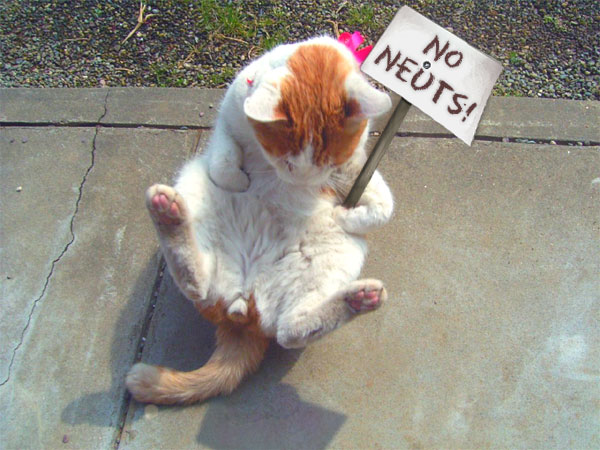 Diseño de Photoshop por Jon Polley para DesignCrowd (Community Contests) | Diseño #9079155