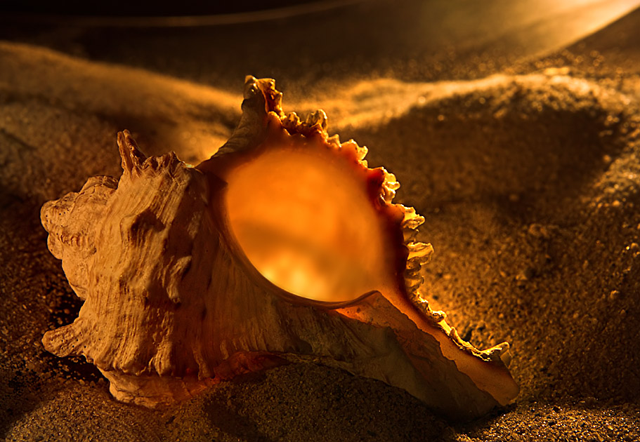 Photography by branie for DesignCrowd (Community Contests) | Design #9068308