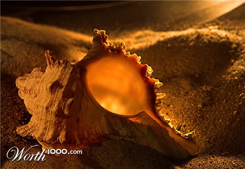 Photography by branie