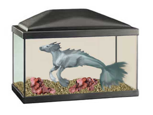 Photoshop Design by lastoftheblueroses for DesignCrowd (Community Contests) | Design #9068435