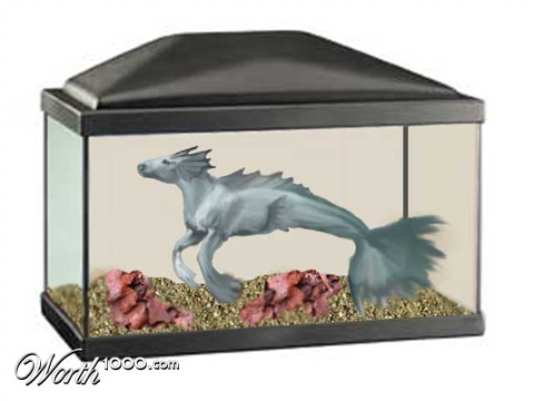 Photoshop Design by lastoftheblueroses